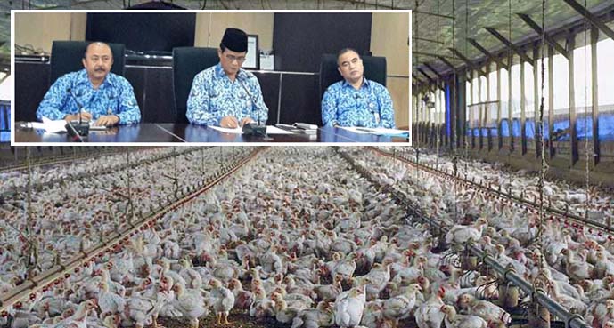 RI Berupaya Buka Pasar Baru Ekspor, Antisipasi `Oversupply` Daging Ayam Olahan